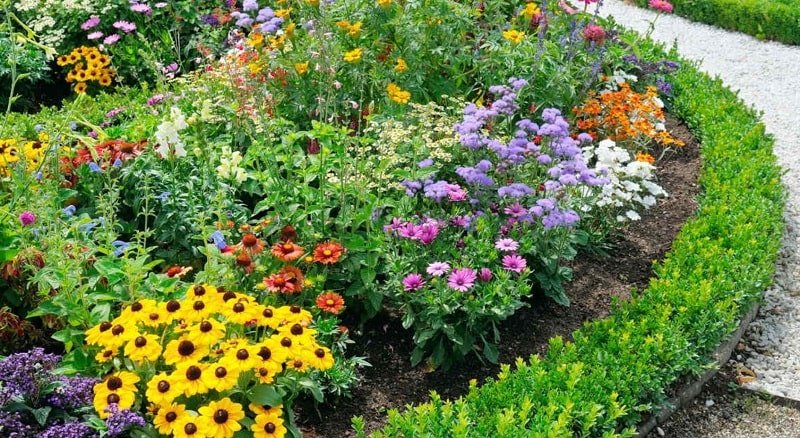 Цветни лехи за градината - красота и наслада за очите