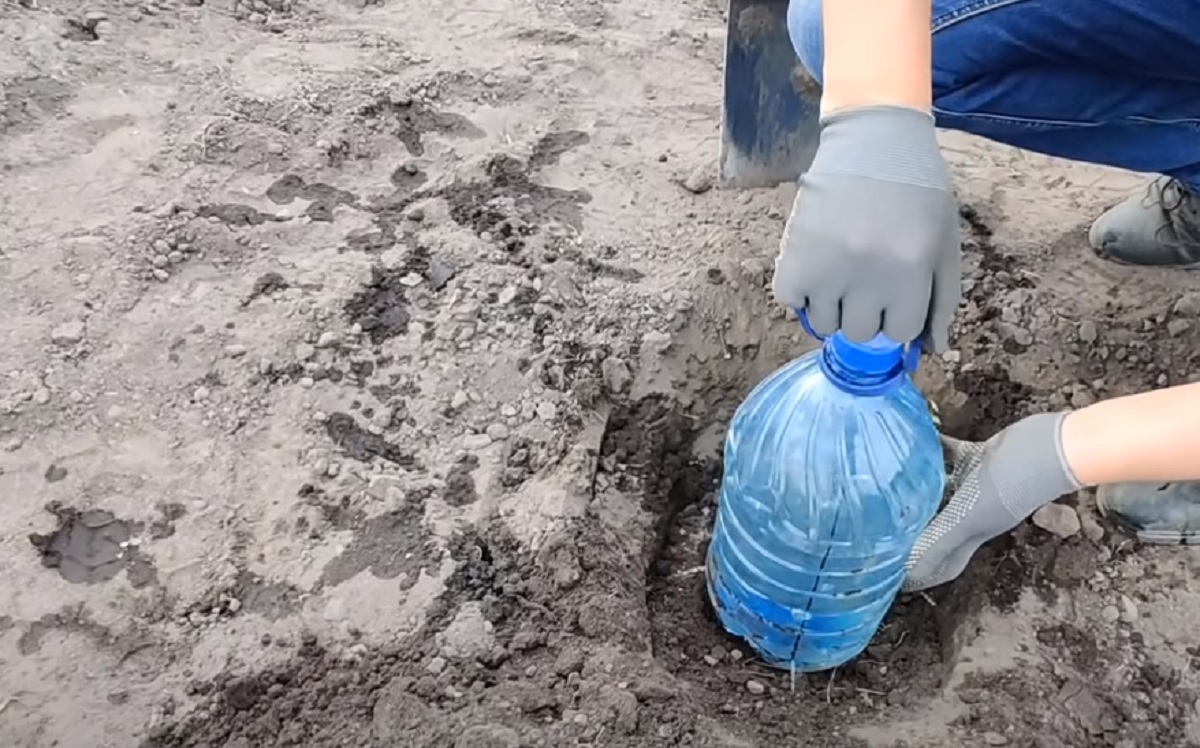 Направете си капково напояване от пластмасова бутилка!