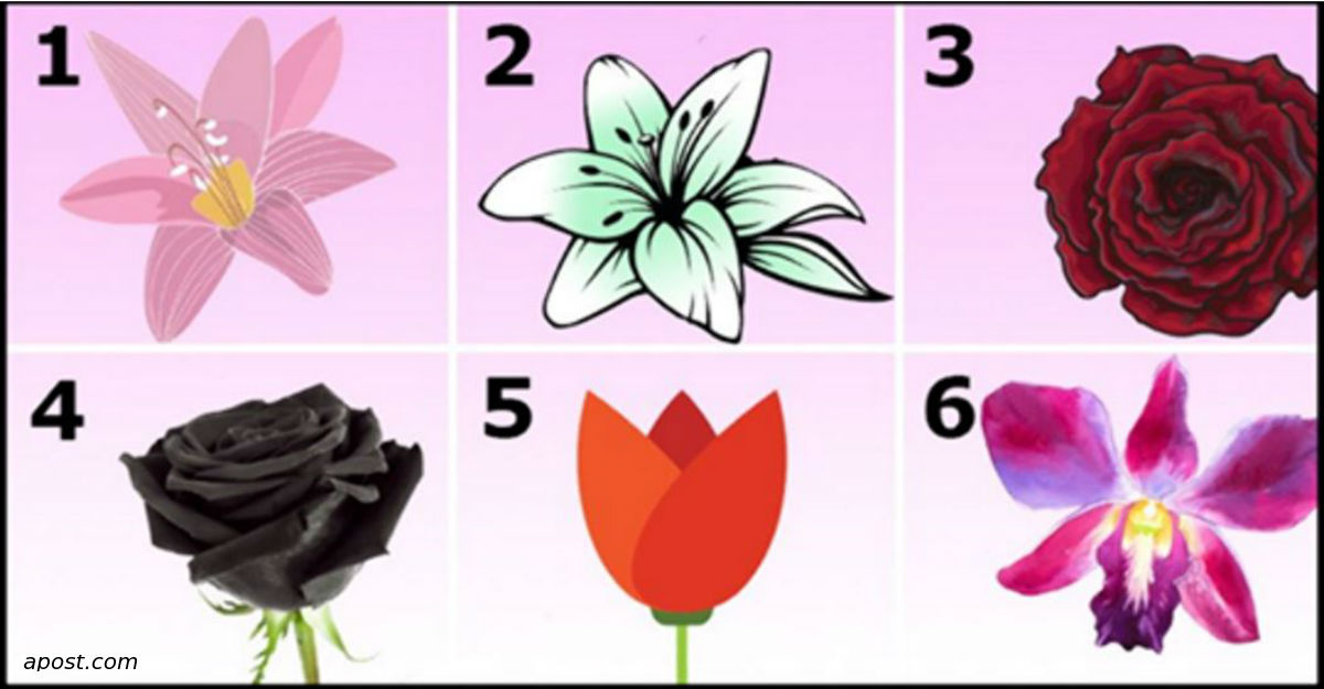 Изберете цвете - узнайте красивата тайна за вашата личност!