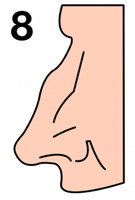 Какво говори формата на носа за вашия характер?
